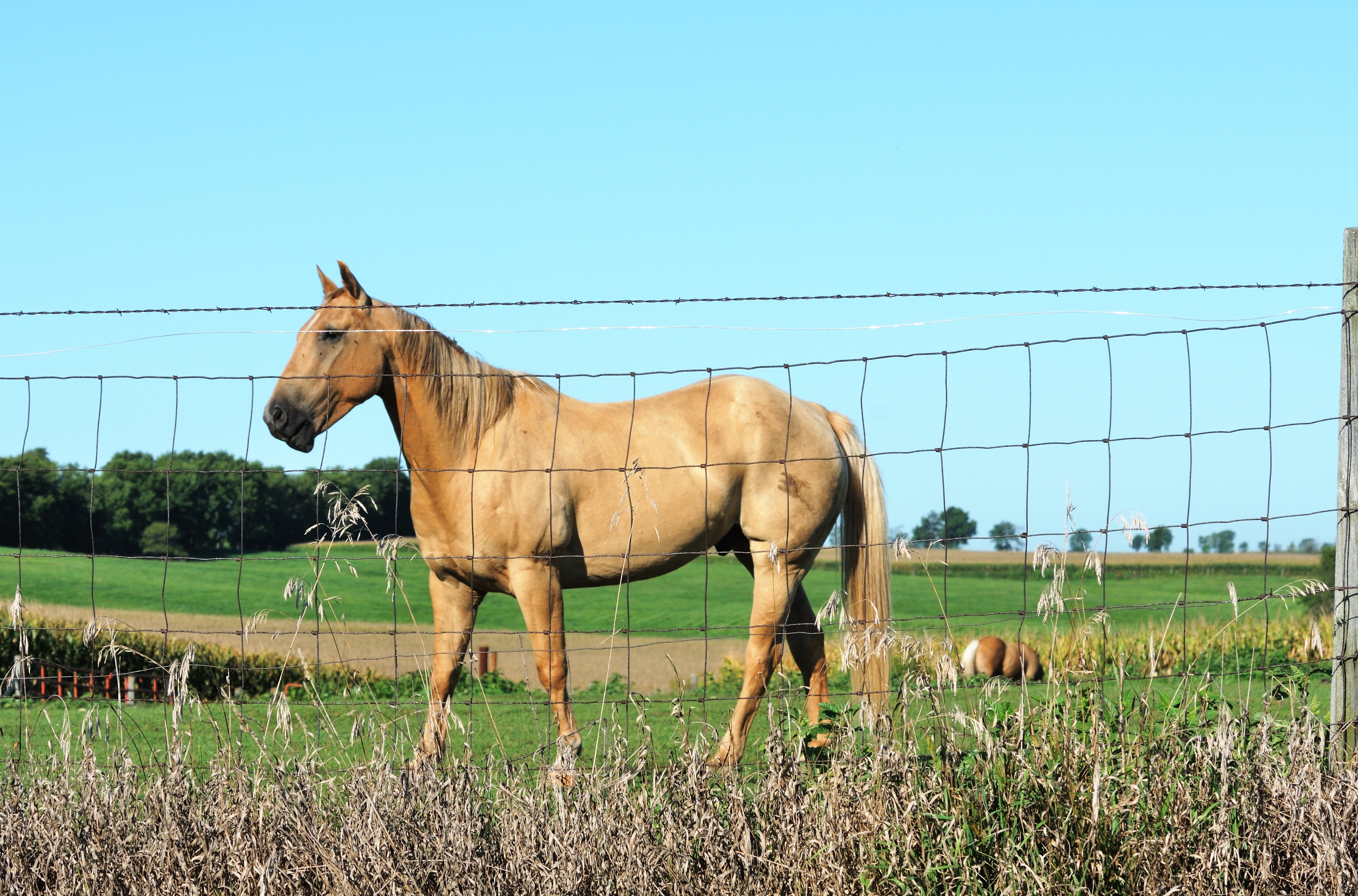 Agriculture